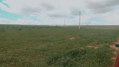 Vente Terrain Agricole Djelfa Birine