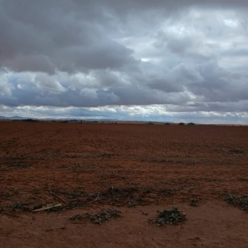 Vente Terrain Agricole Djelfa Had sahary