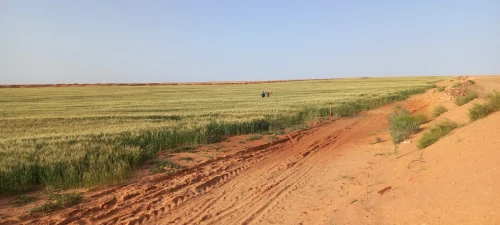 Vente Terrain Agricole Djelfa Djelfa