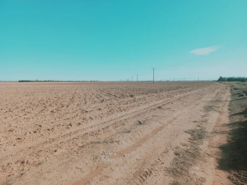 Vente Terrain Agricole Djelfa Djelfa