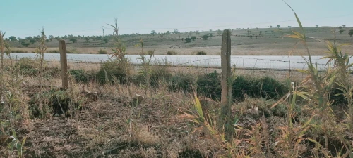 Vente Terrain Agricole Djelfa Djelfa