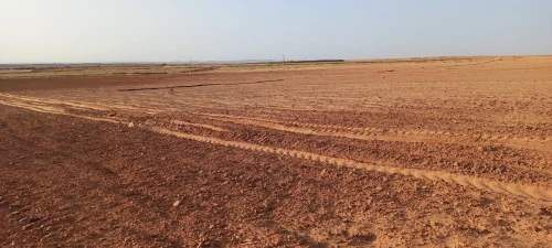 Vente Terrain Agricole Djelfa Djelfa