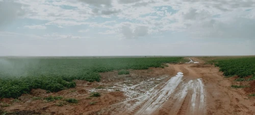 Vente Terrain Agricole Djelfa Birine