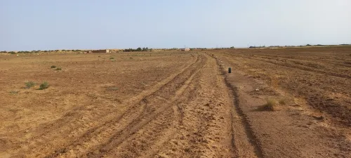 Vente Terrain Agricole Djelfa Djelfa