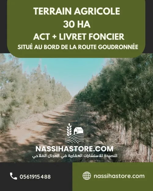 Vente Terrain Agricole Djelfa Djelfa