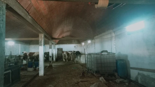 Vente Terrain Agricole Djelfa Had sahary