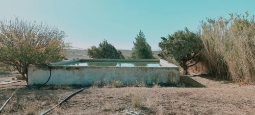 Vente Terrain Agricole Djelfa Djelfa