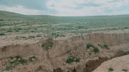 Vente Terrain Agricole Djelfa Djelfa