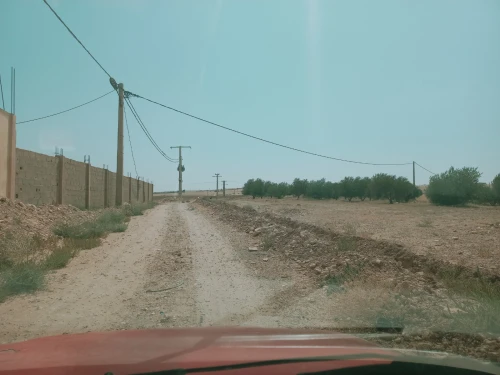 Vente Terrain Agricole Djelfa Birine