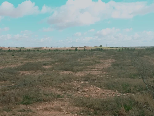 Vente Terrain Agricole Djelfa Ain oussara