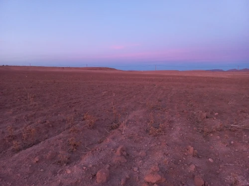 Vente Terrain Agricole Djelfa Ain el ibel