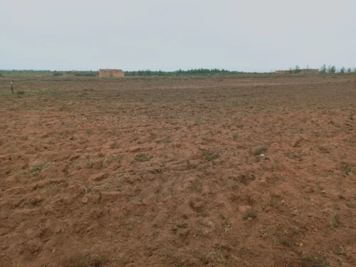 Vente Terrain Agricole Djelfa Ain oussara