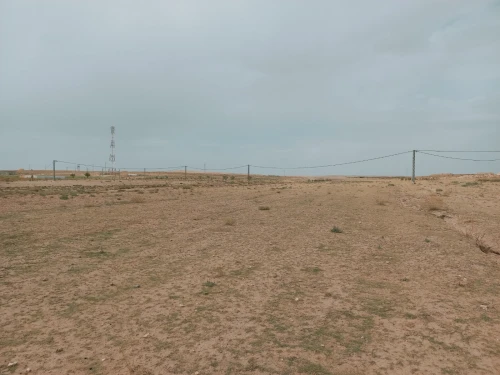 Vente Terrain Agricole Djelfa Djelfa