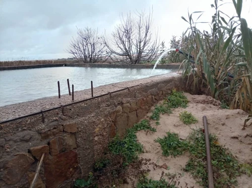 Vente Terrain Agricole Djelfa Djelfa