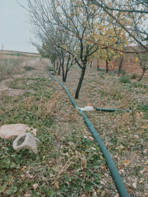 Vente Terrain Agricole Djelfa Djelfa