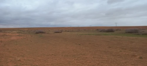 Vente Terrain Agricole Djelfa Ain oussara