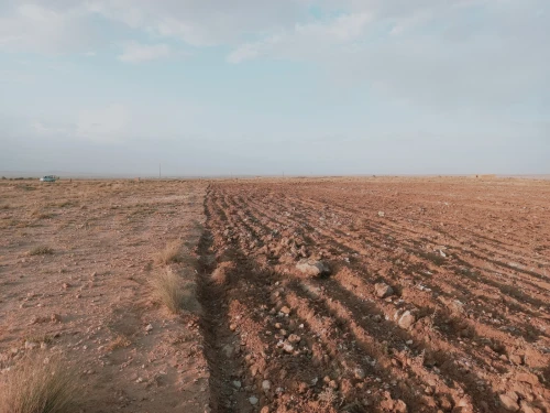Vente Terrain Agricole Djelfa Djelfa