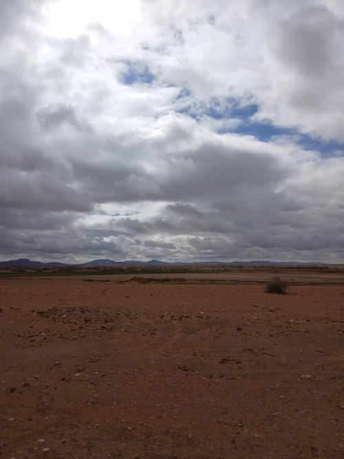 Vente Terrain Agricole Djelfa Had sahary