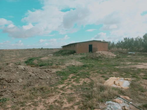 Vente Terrain Agricole Djelfa Ain oussara