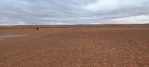 Vente Terrain Agricole Djelfa Ain oussara