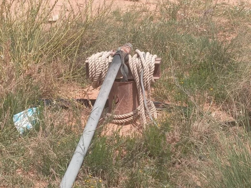 Vente Terrain Agricole Djelfa Djelfa