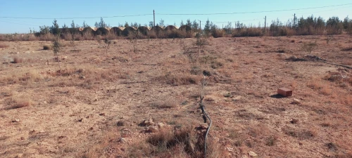 Vente Terrain Agricole Djelfa Djelfa