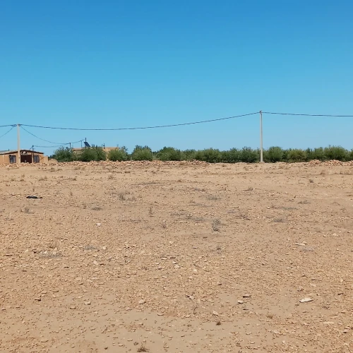 Vente Terrain Agricole Djelfa Ain oussara
