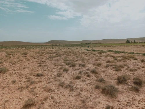 Vente Terrain Agricole Djelfa Djelfa
