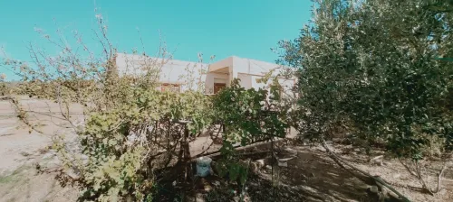 Vente Terrain Agricole Djelfa Djelfa