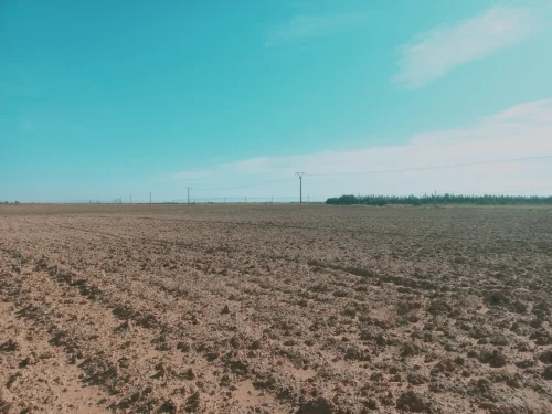 Vente Terrain Agricole Djelfa Djelfa