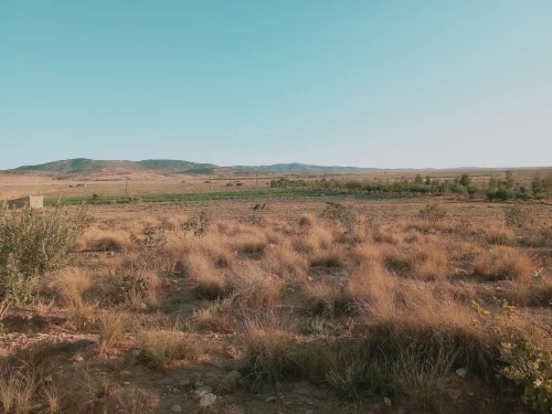 Vente Terrain Agricole Djelfa Djelfa