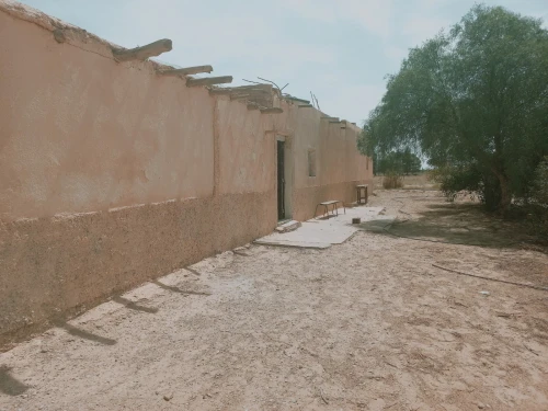 Vente Terrain Agricole Djelfa Djelfa