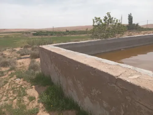 Vente Terrain Agricole Djelfa Djelfa