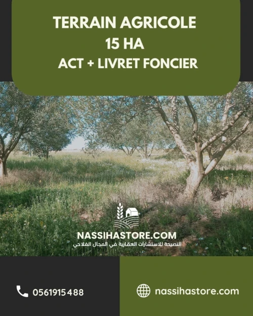 Vente Terrain Agricole Djelfa Ain oussara