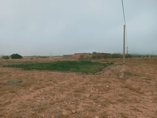 Vente Terrain Agricole Djelfa Djelfa