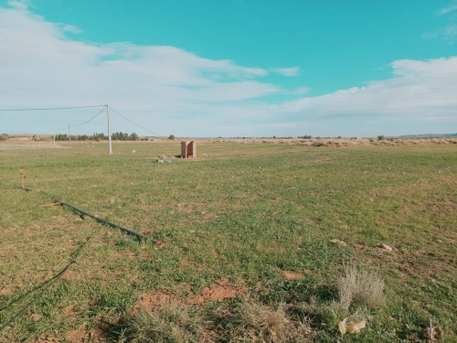 Vente Terrain Agricole Djelfa Djelfa