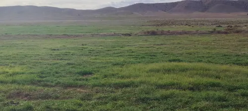 Vente Terrain Agricole Djelfa Djelfa