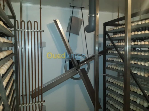 COUVOIR INDUSTRIEL 16800 OEUFS