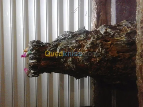 peinture-décoration-maconnerie