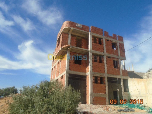 Artisant En Travaux de Maçonnerie