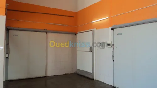 VENDS CHAMBRE FROIDE 380 m² -
