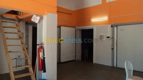 VENDS CHAMBRE FROIDE 380 m² -