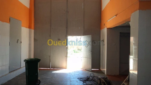 VENDS CHAMBRE FROIDE 380 m² -