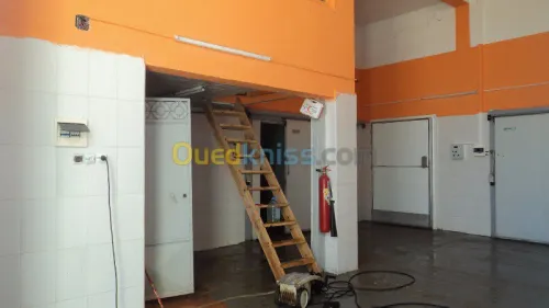 VENDS CHAMBRE FROIDE 380 m² -
