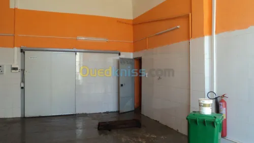 VENDS CHAMBRE FROIDE 380 m² -