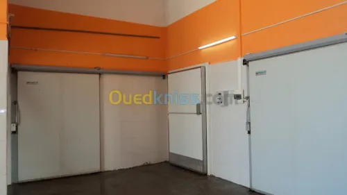 VENDS CHAMBRE FROIDE 380 m² -
