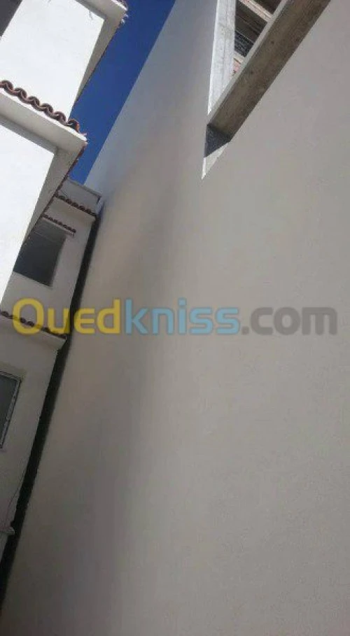 traitement de façade monocouche 