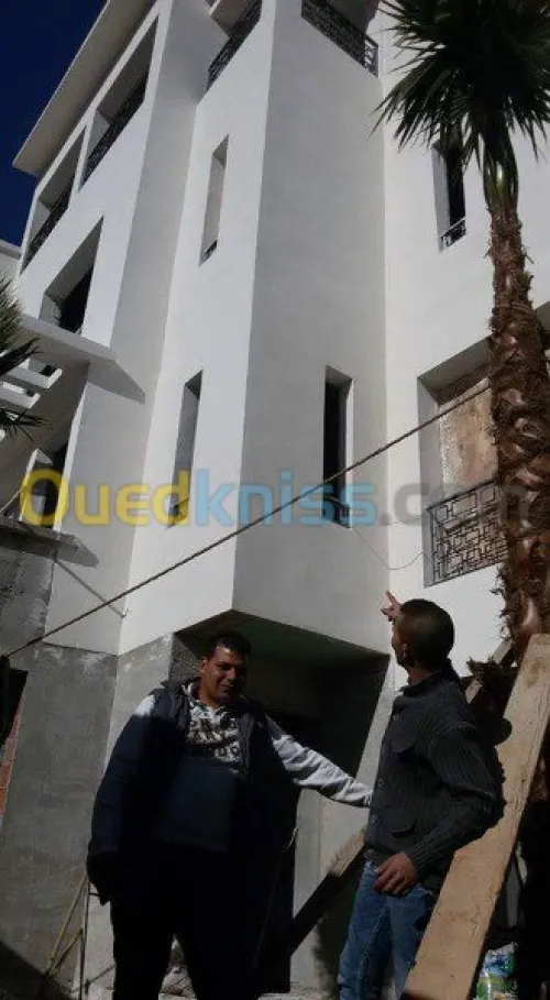 traitement de façade monocouche 