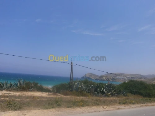 Vente Terrain Aïn Témouchent Bou zedjar