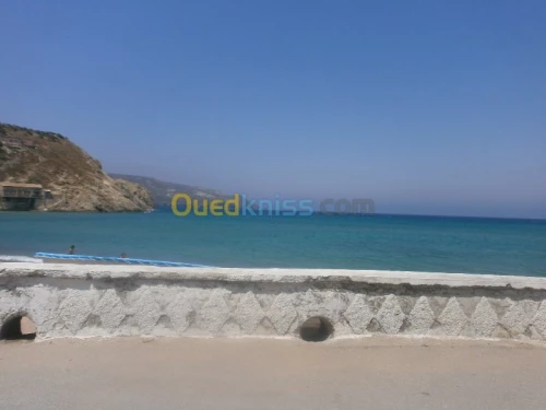 Vente Terrain Aïn Témouchent Bou zedjar